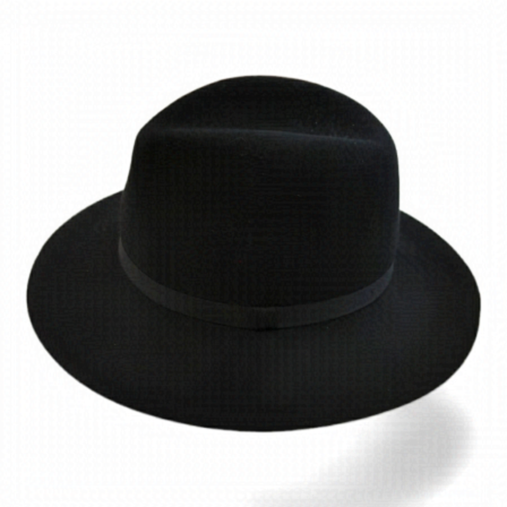 Alxiliary fedora M/L black